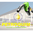 Petro Quim